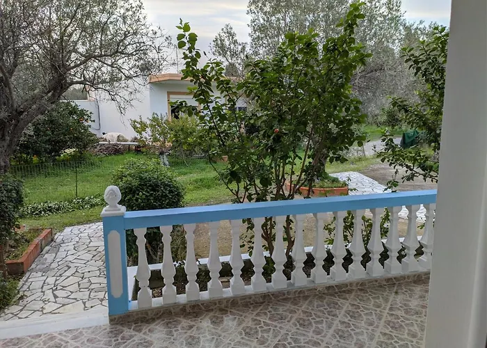 Chrysa * 科林比亚