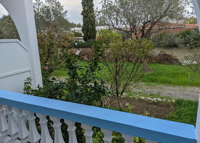 Chrysa * 科林比亚